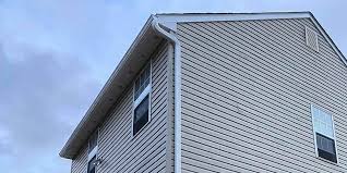 Best Fascia and Soffit Installation  in USA